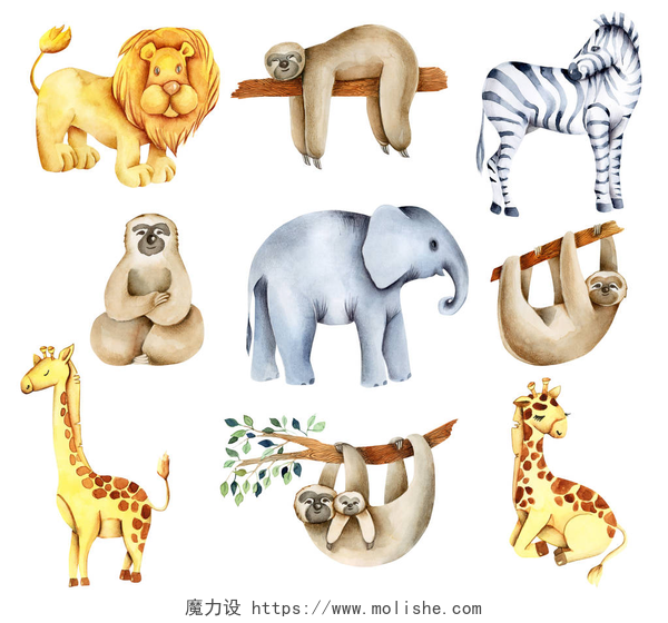 白色背景中水彩插画各种各样的动物非洲水彩画动物（狮子、大象、树懒、长颈鹿、斑马），手工绘制，背景为白色